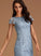 Knee-Length Silhouette Lace ScoopNeck Length Sheath/Column Neckline Straps Fabric Mia Natural Waist A-Line/Princess