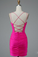Zoie Lace Homecoming Dresses Up Spaghetti Straps Short Pink Party Dress