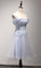 Tulle Homecoming Dresses Lace Margery Cute CD11753