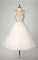 Charming Evening Dress 2022 Spahetti Strap Isabela Homecoming Dresses Dress Tulle Gown CD1550