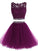Adrienne Elegant Two Piece homecoming Dress, Homecoming Dresses Short Tulle Purple CD234