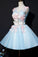 Princess Blue A-Line Short With Homecoming Dresses Isabela Flowers CD24332