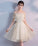 Champagne Homecoming Dresses Marilyn Tulle Short Dress Champagne CD3036