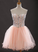 Blush Pink , Willow Short Dresses, Homecoming Dresses Tulle Homecoming Gowns CD4379