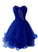 Organza Short Monserrat Homecoming Dresses Beaded Cute CD5637